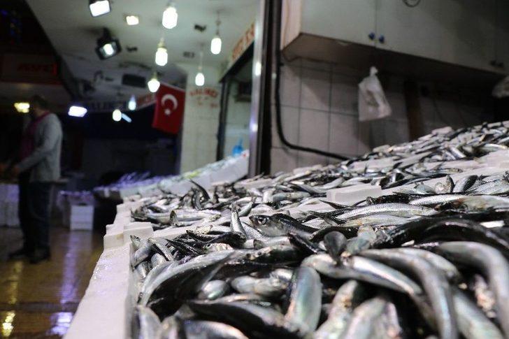 Havanın Soğumasıyla Tezgahlarda Hamsi Bolluğu Yaşanıyor G1