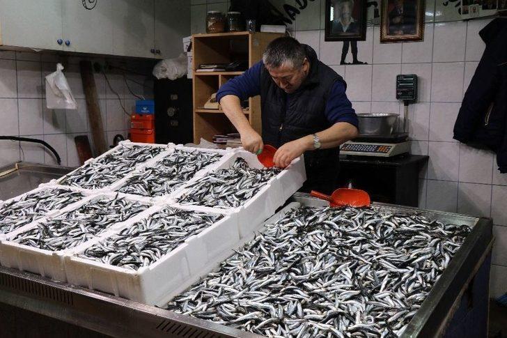 Havanın Soğumasıyla Tezgahlarda Hamsi Bolluğu Yaşanıyor G2