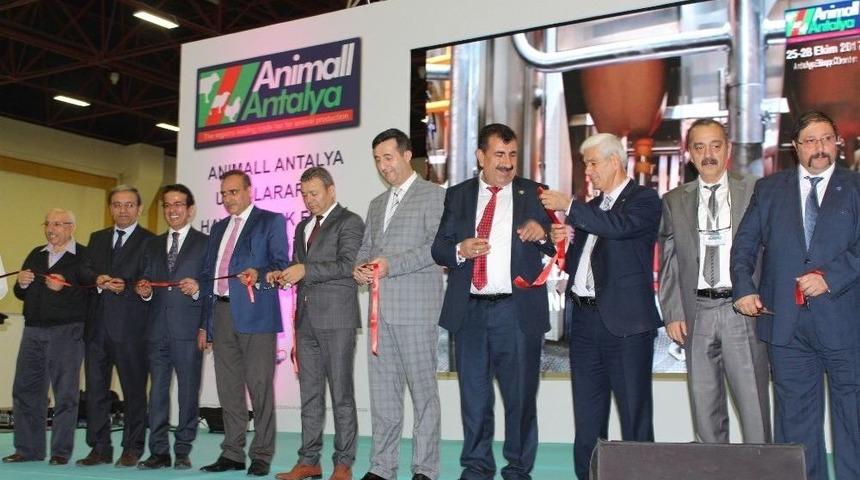 Antalya Hayvancılık Fuarına Ev Sahipliği Yapıyor