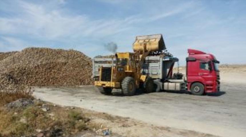 G&uuml;ny&uuml;z&uuml;&rsquo;n&uuml;n Şeker Pancarları Susurluk&rsquo;a Gidiyor