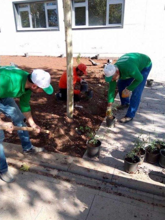 Adıyaman Üniversitesi Merkez Külliyesinin Yeşil Görüntüsü Dikkat Çekiyor