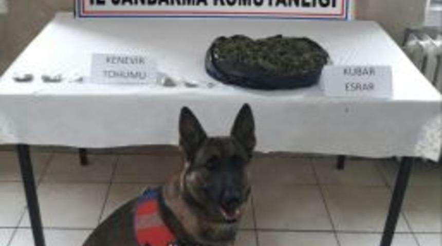 Jandarma Sinanpaşa&rsquo;da Kubar Esrar Yakaladı