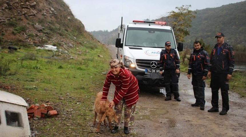 Kayalıklarda Mahsur Kalan Ke&ccedil;iyi Afad Kurtardı