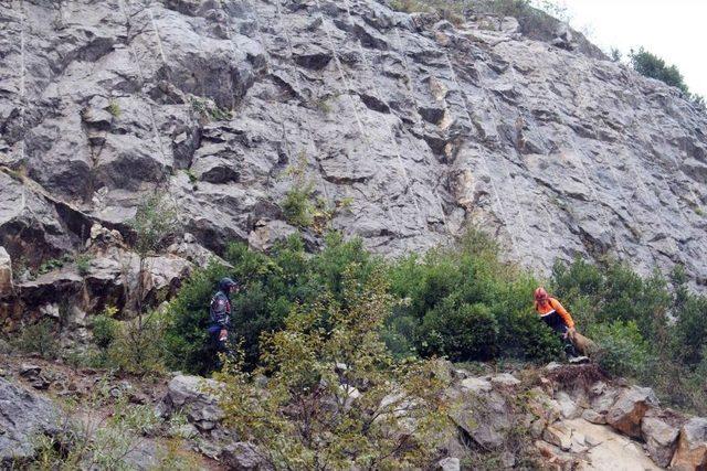 Kayalıklarda Mahsur Kalan Keçiyi Afad Kurtardı