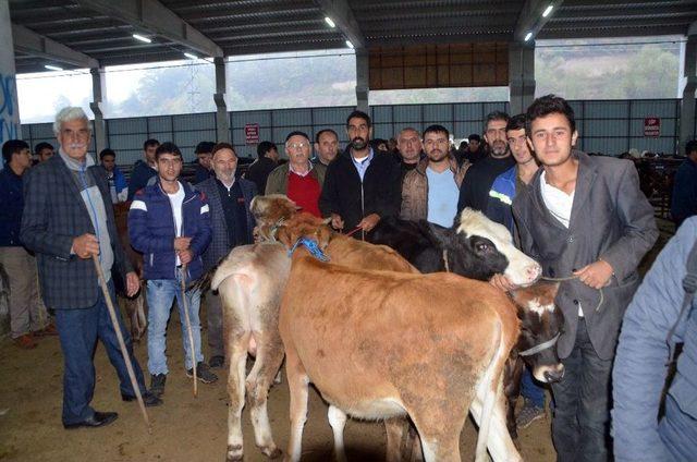 Samsun Ve İlçeleri Kırmızı Et Üreticileri Birliği Başkanı Doğan: “ithal Et Kararı Üreticiyi Zor Durumda Bıraktı”