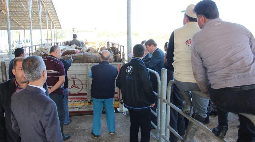 Gen&ccedil; &Ccedil;ift&ccedil;iler Merakla Bekledi, Hibe D&uuml;velerine Kavuştu