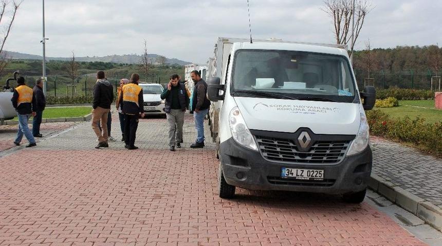 G&ouml;kt&uuml;rk&rsquo;te &Ouml;ld&uuml;r&uuml;lecek Denilen K&ouml;pek Barınakta Sahibini Arıyor