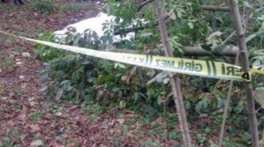 Eşinin Kestiği Dalın Altında Can Verdi