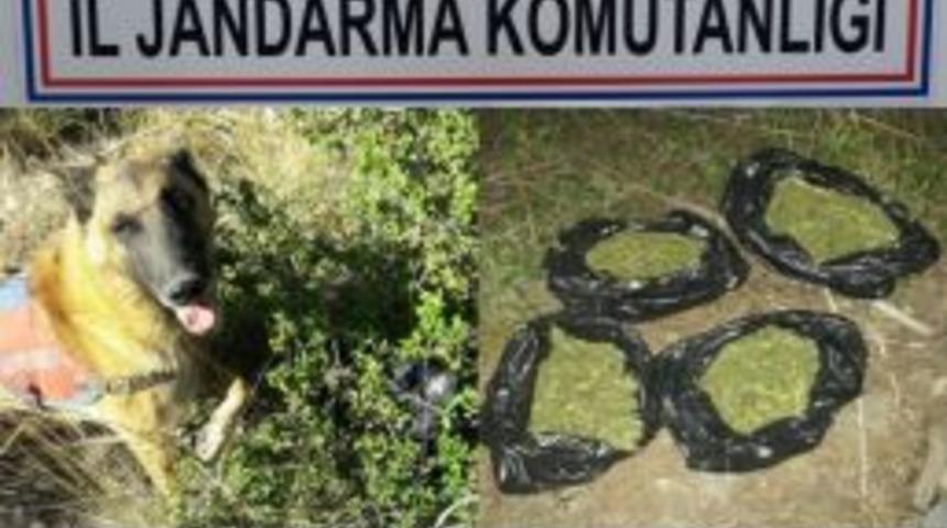 Denizli&rsquo;de Uyuşturucu Operasyonuna 3 Tutuklama