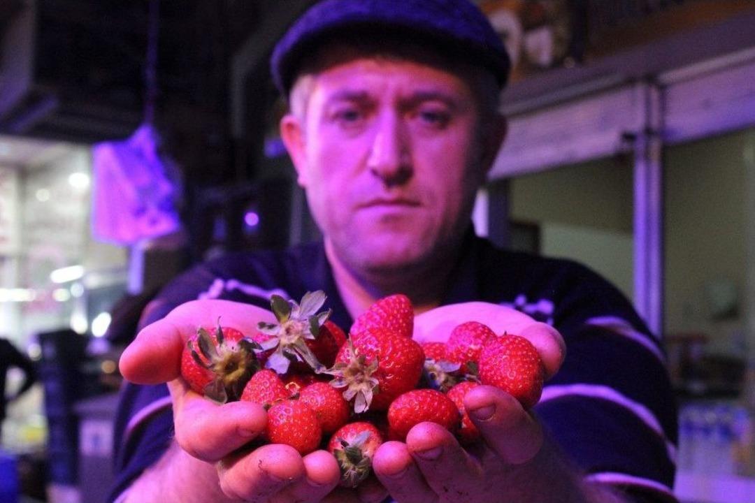 Ekim Ayında Pazarda Tarla &Ccedil;ileği