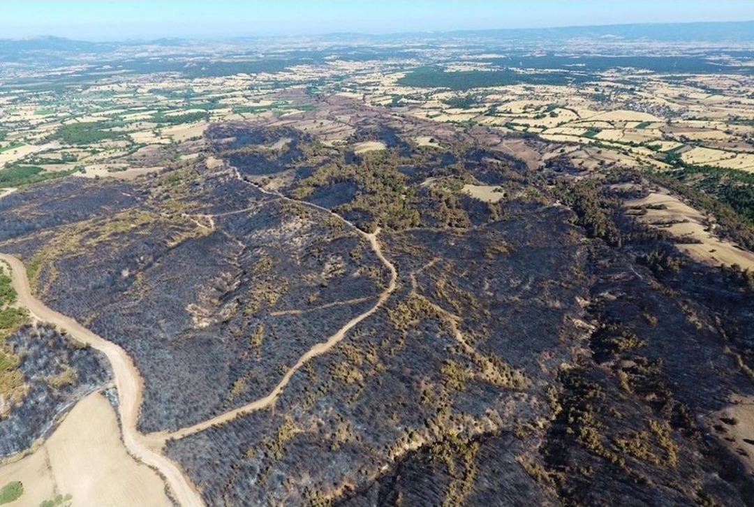 &Ccedil;anakkale&rsquo;de Yanan Orman Alanları İlk Kez Drone İle G&ouml;r&uuml;nt&uuml;lendi