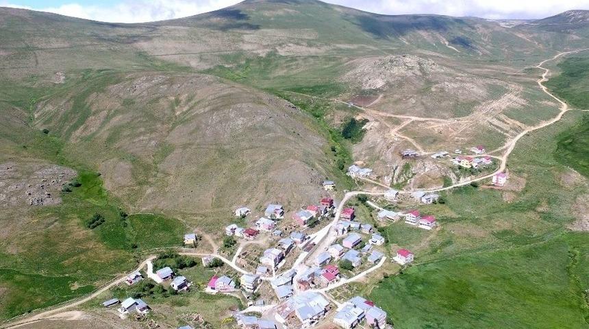 Ağaçsız Köyün Ağaç Sevdası