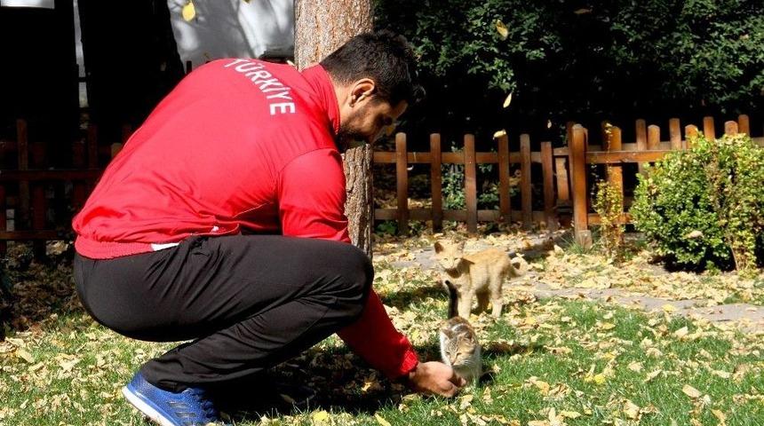 Taha Akg&uuml;l&rsquo;den Sezon Değerlendirmesi