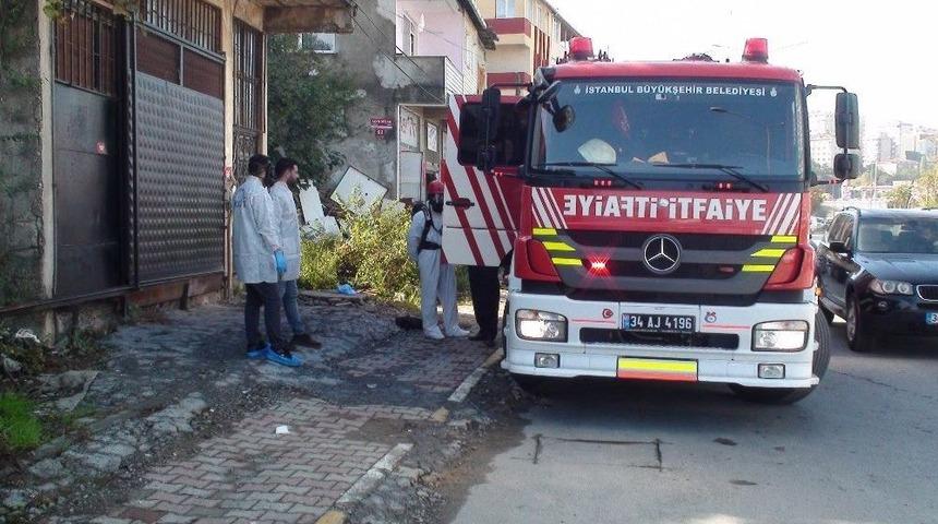 Mahalleyi Saran Kokunun Geldiği Evden &Ccedil;&uuml;r&uuml;m&uuml;ş Ceset &Ccedil;ıktı