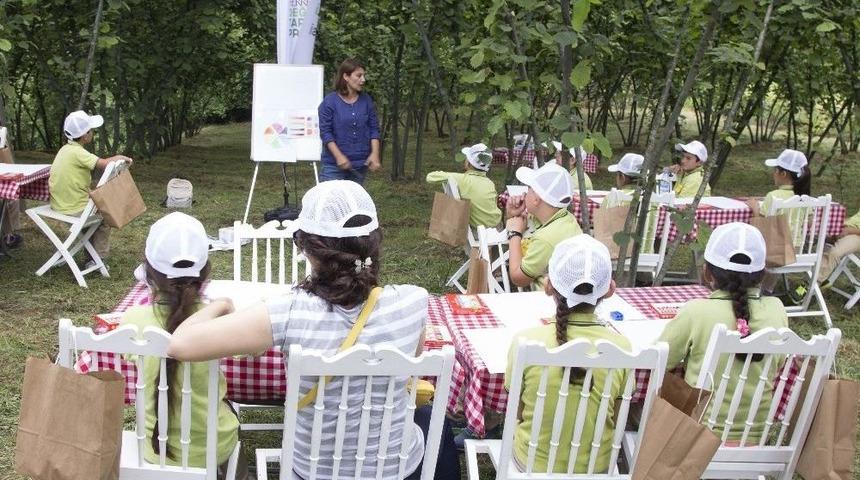 Kız &Ouml;ğrenciler Fındığa Daha İlgili