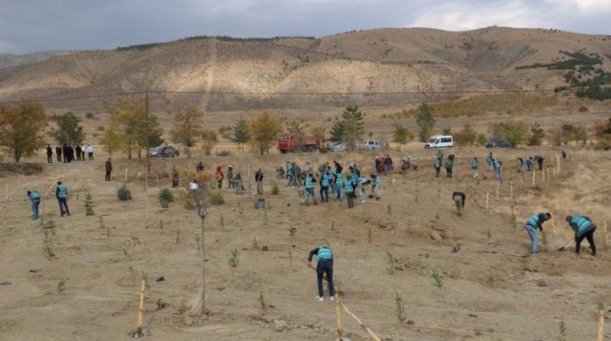 Erzincan&rsquo;da Denetimli Serbestlik Y&uuml;k&uuml;ml&uuml;leri 260 Fidan Dikti