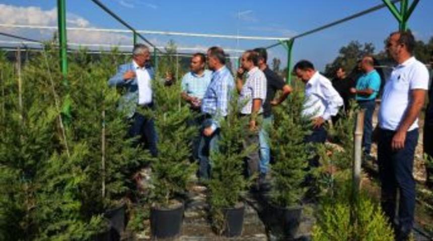 Mersin Orman B&ouml;lge M&uuml;d&uuml;rl&uuml;ğ&uuml;, 2017&rsquo;de 15 Milyon 750 Bin Fidan &Uuml;retti