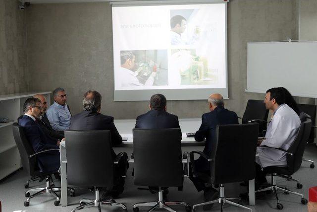 Talas Belediyesi İle Erciyes Üniversitesi “talas’ın Karadut”unu Yaşatacak