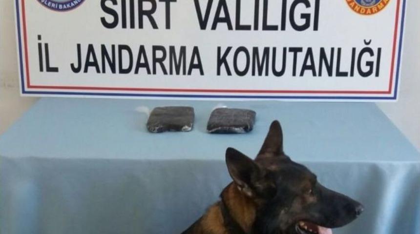 55 Yasadışı G&ouml;&ccedil;men Yakalandı