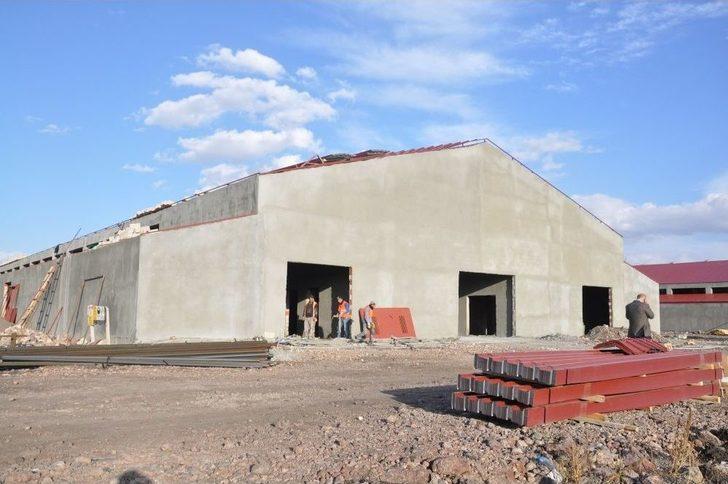 Bakan Arslan, Modern Besi Çiftliği Ve Kesimhanede İncelemede Bulundu G2