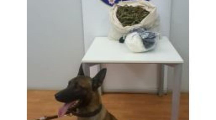 Elazığ’da Uyuşturucu Ticaretinden 1 Kişi Tutuklandı