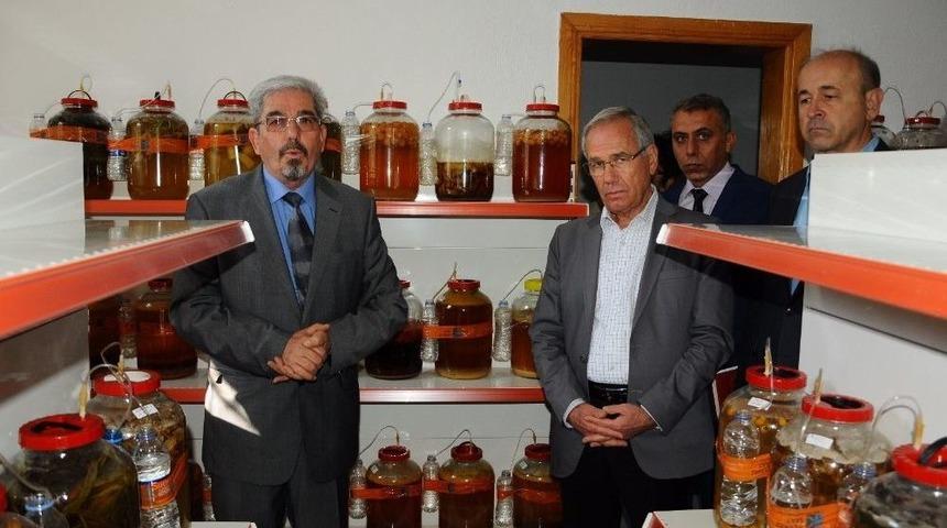 Bin 65 &Ccedil;eşit "probiyotikli Turşu" İle Guinness Rekorlar Kitabı&rsquo;na Adını Yazdırdı