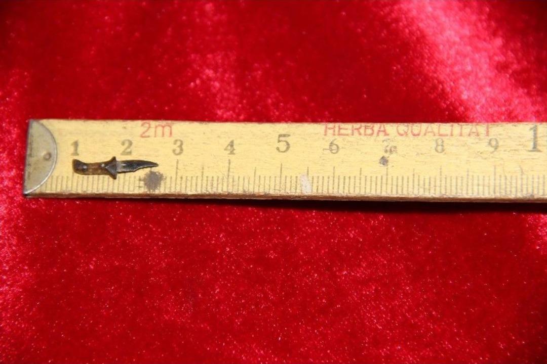 Minik Bı&ccedil;akları İle Guinness&rsquo;e Aday