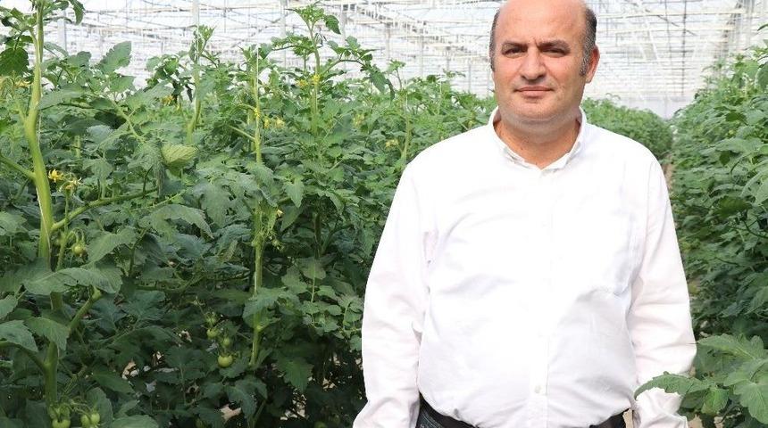 Domateste Firma Kısıtlaması Diğer &Uuml;r&uuml;nlere De Sı&ccedil;rayabilir