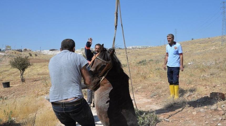 Midyat İtfaiyesi 3 Ayda 35 Hayvanı Kurtardı