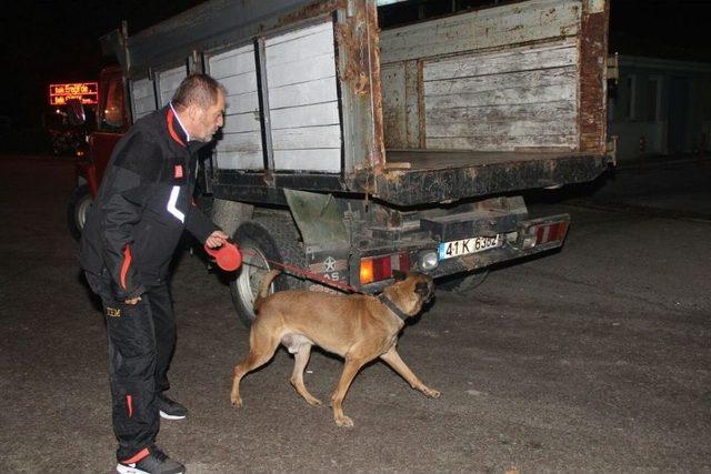 Karamürsel’de 133 Personelle 