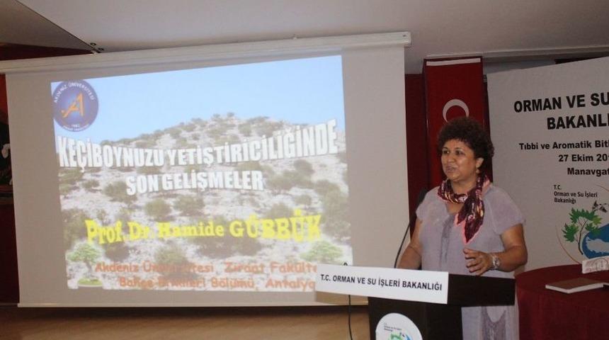 Aromatik Bitkiler Eğitimi Yoğun İlgi G&ouml;rd&uuml;