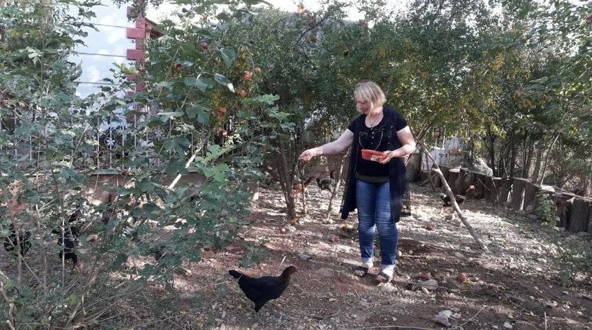 K&ouml;y Hasretine Dayanamadı