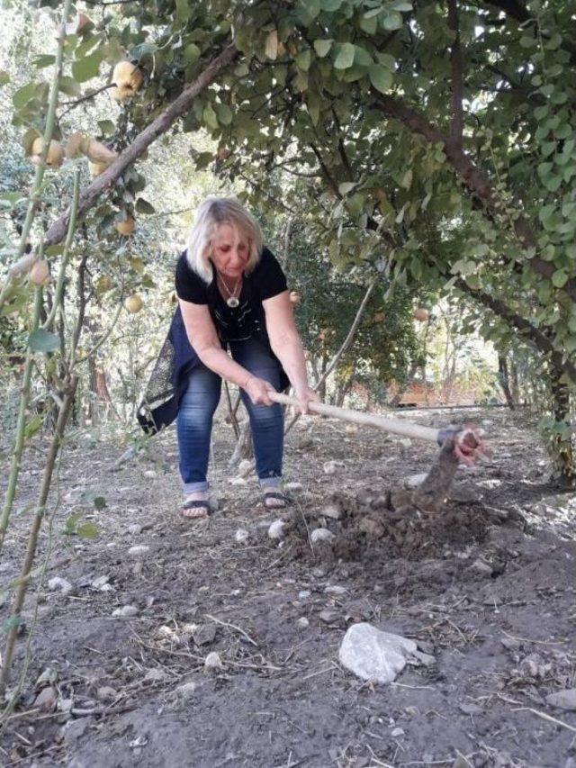 Köy Hasretine Dayanamadı