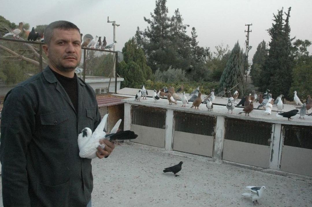 &Ouml;l&uuml;m&uuml;ne G&uuml;vercin Tutkusu