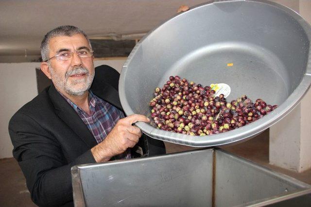 Karamanlı Torna Ustası, Saatte 1 Ton Zeytin Kıran Ve Dilen Makine Yaptı