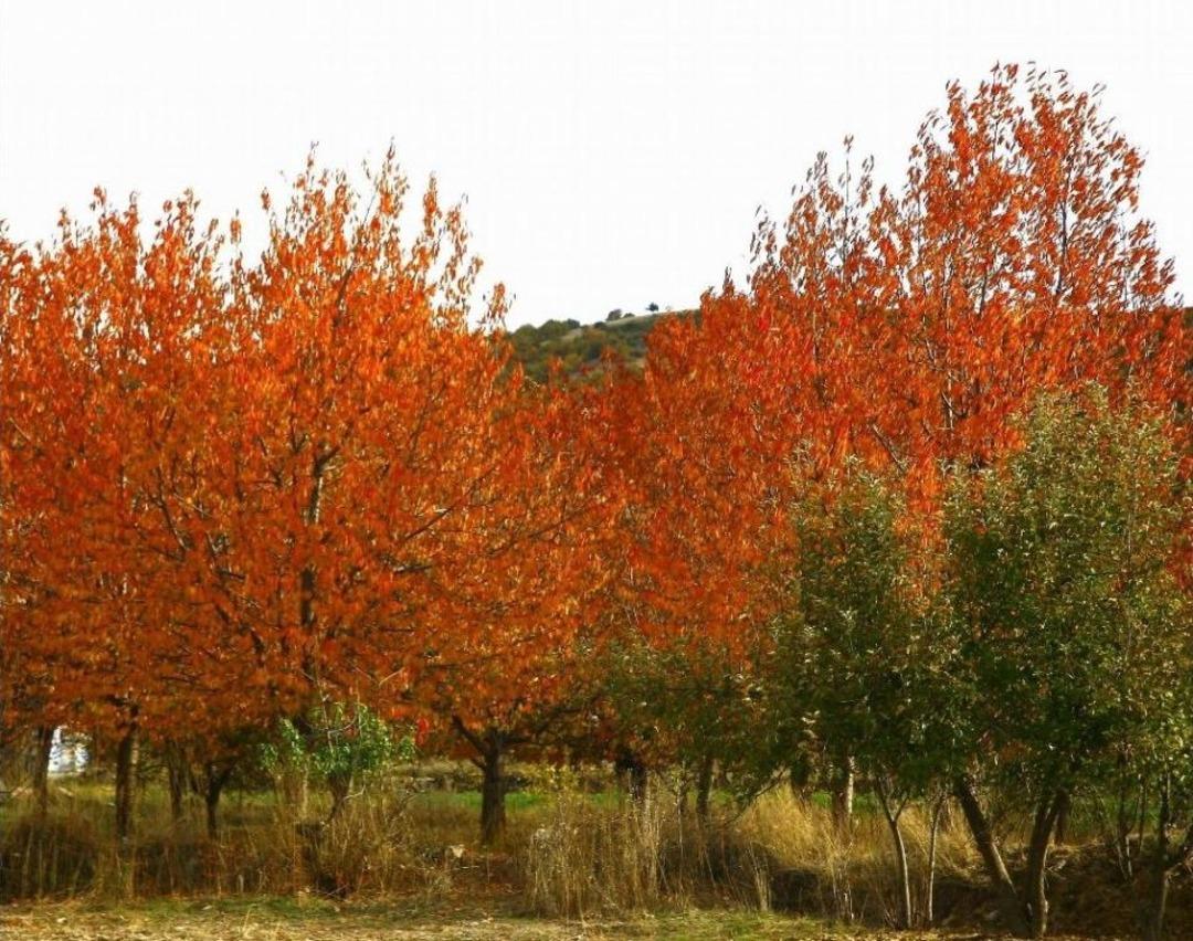 Afyonkarahisar&rsquo;da Kartpostallık Sonbahar Manzaraları