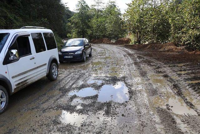 Olta İle Yol Protestosu