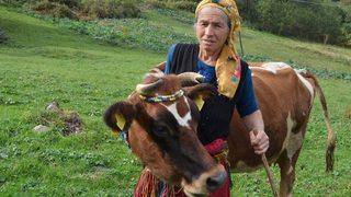 İnekleri Onun Herşeyi