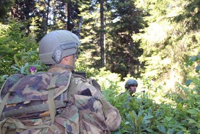 Doğu’da Sıkışan Pkk Karadeniz’de Çıkış Kapısı Arıyor