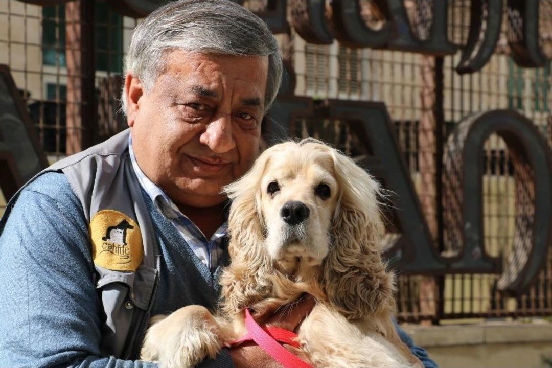 20 G&uuml;nd&uuml;r Kayıp K&ouml;pekle Sahibinin Duygulandıran Kavuşan Anı