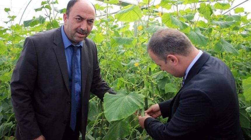 Gen&ccedil; &Ccedil;ift&ccedil;i Projesinde Serada &Uuml;retime Başlandı