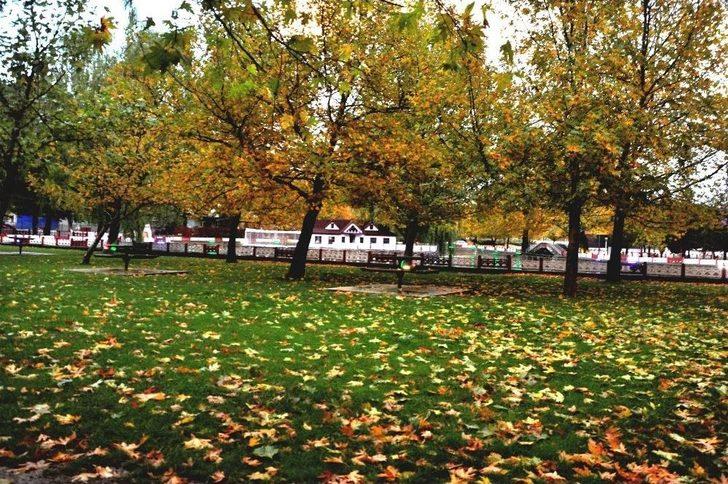Seydişehir Kuğulu Park’ta Kartpostallık Görüntüler G2