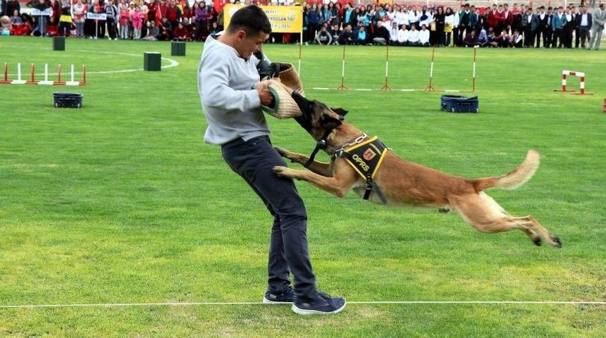 Nevşehir&rsquo;de 29 Ekim Kutlamaları