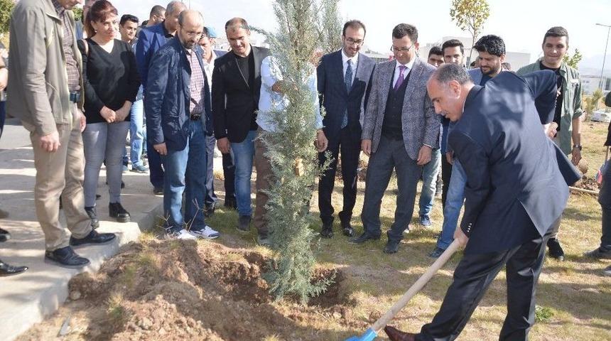 Şırnak&rsquo;ta Protokol &Uuml;yeleri Ve Vatandaşlar Fidan Dikti