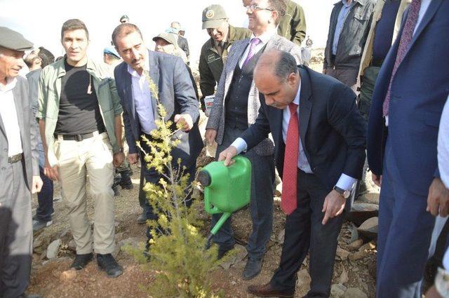 Şırnak’ta Protokol Üyeleri Ve Vatandaşlar Fidan Dikti