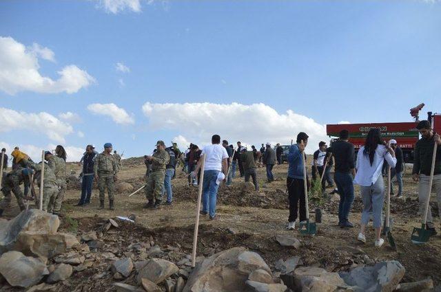 Şırnak’ta Protokol Üyeleri Ve Vatandaşlar Fidan Dikti