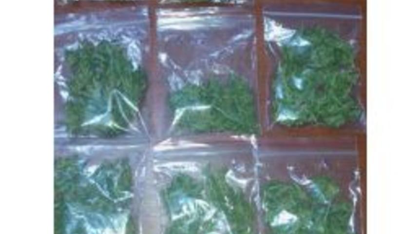 Tatvan&rsquo;da Uyuşturucu Operasyonu