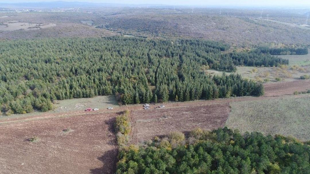 (&ouml;zel Haber) " Kara Elmas" Tr&uuml;f Mantarının Doğadan Toplanma Macerası Havadan G&ouml;r&uuml;nt&uuml;lendi