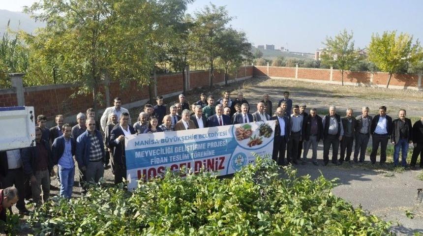 &Uuml;reticilere Zeytin Ve Badem Fidanı Desteği