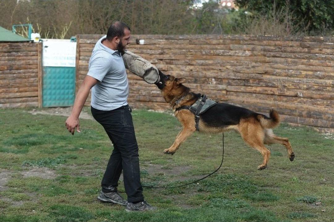 (&ouml;zel Haber) Saya&ccedil; Okuyanlara K&ouml;pek Eğitimi